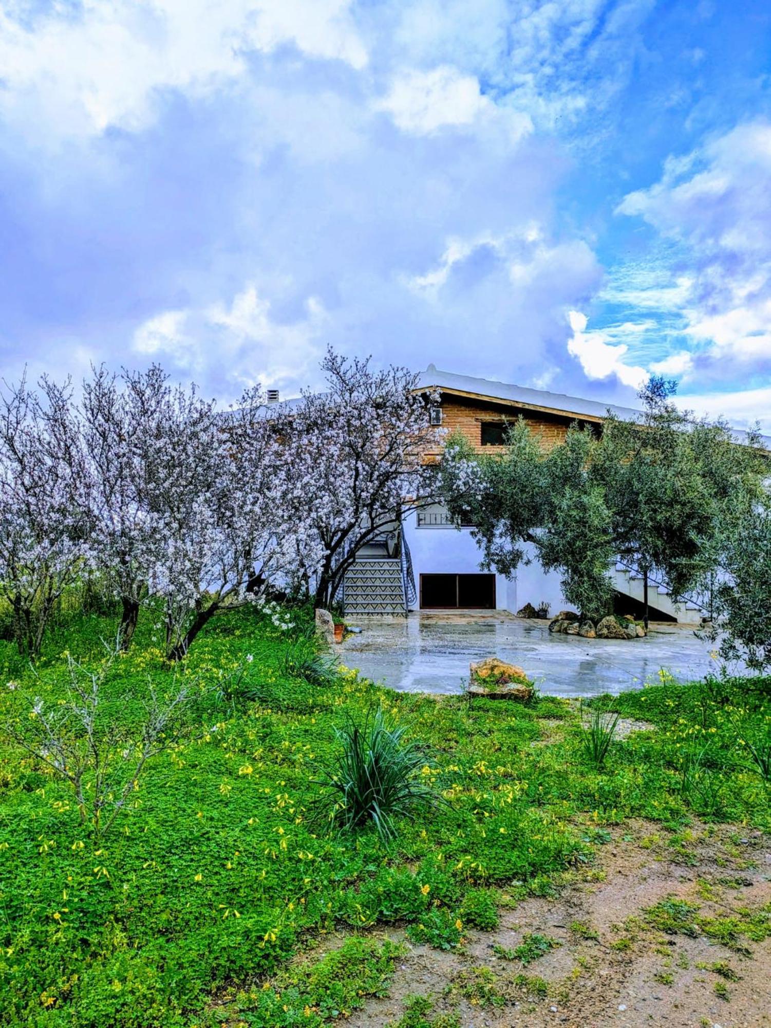Agriturismo "Pirastreri" Siniscola Exteriér fotografie