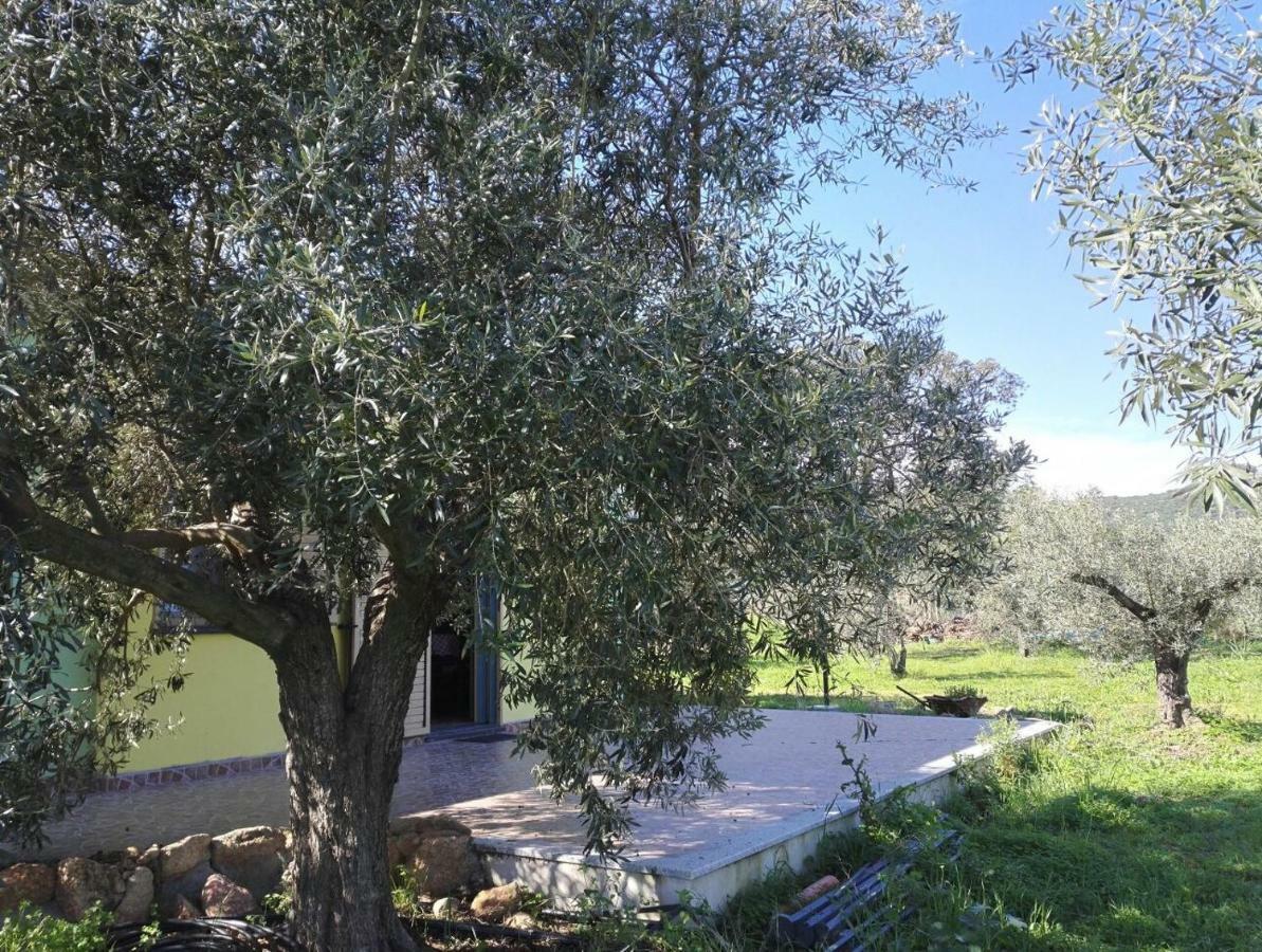 Agriturismo "Pirastreri" Siniscola Exteriér fotografie